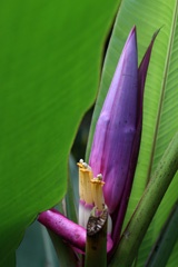 IMG_3294a